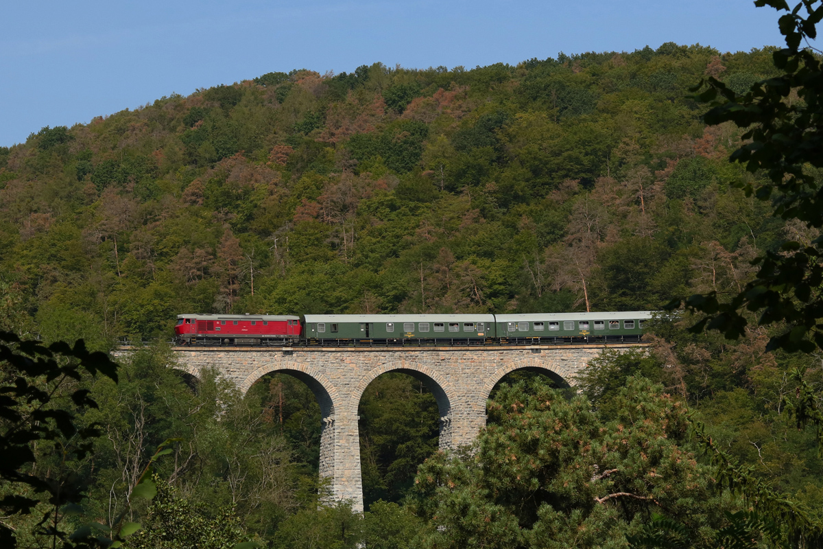 Bardotka T478.1215 KŽC - foto 818