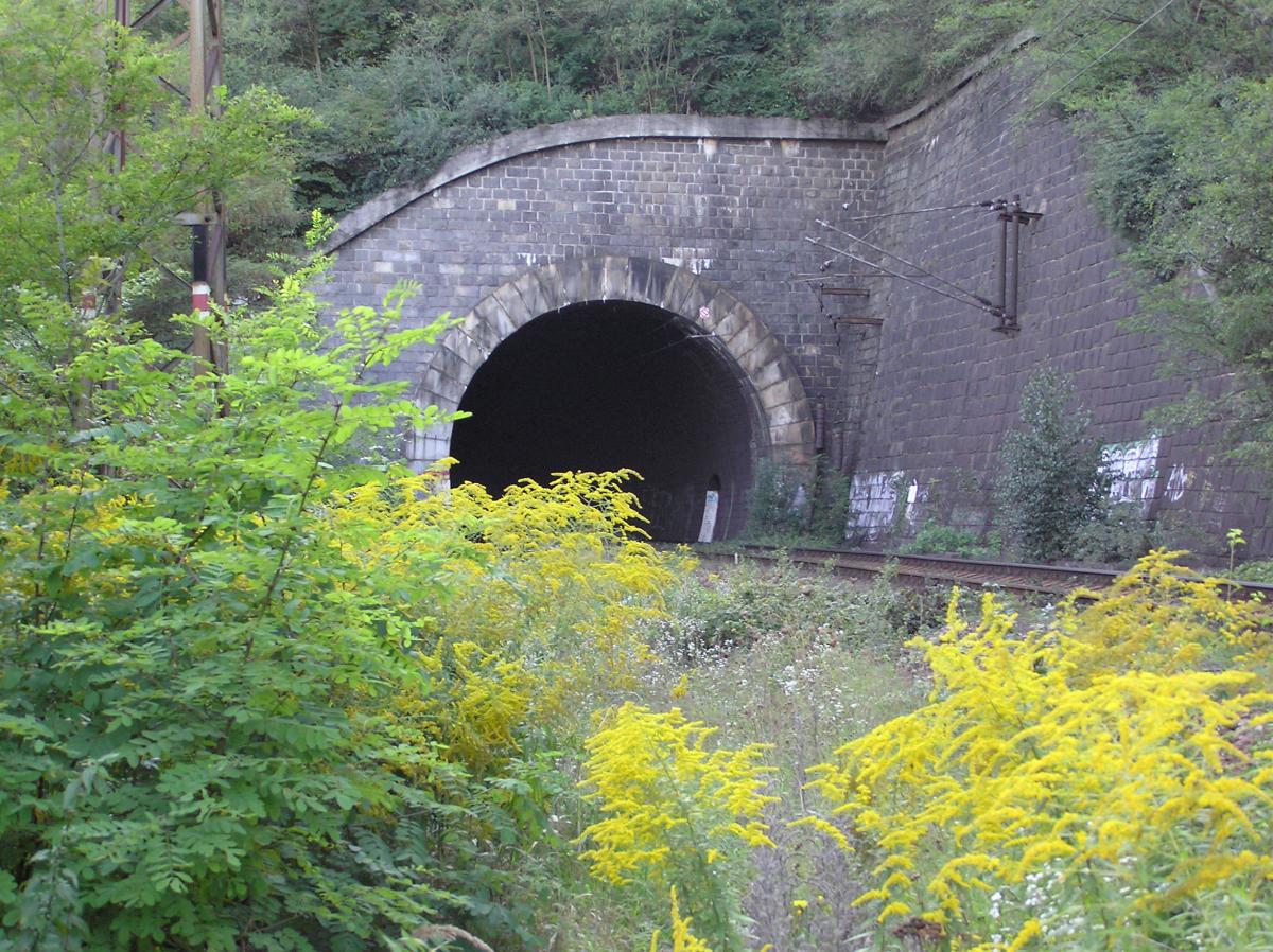 Železniční most Braník - foto 53